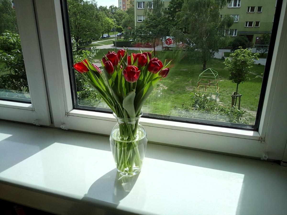 Apartament Usmiech Płock エクステリア 写真